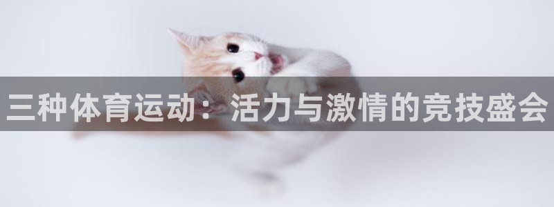 MK体育官网下载平台注册要钱吗是真的吗:三种体育运动:活力与