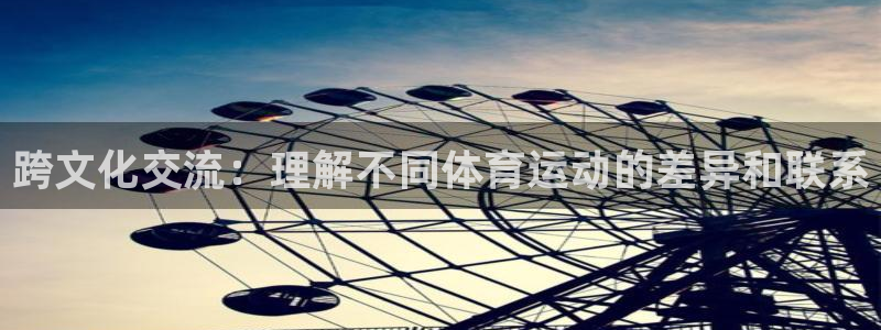 MK体育官方正版app娱乐是那个系列的台子:跨文化交流:理解