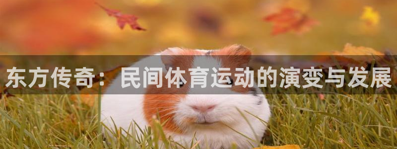 MK体育官方正版app集团官网网址:东方传奇:民间体育运动的