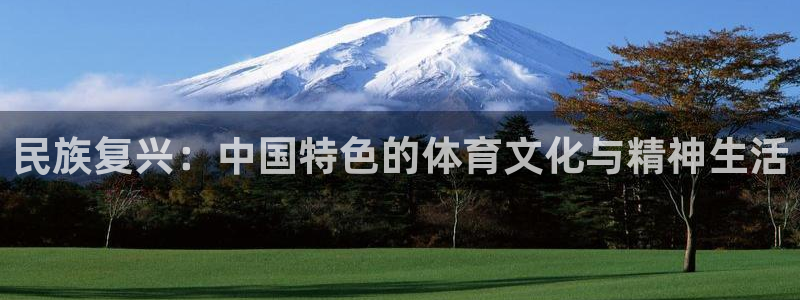 MK体育官方正版app集团logo:民族复兴:中国特色的体育