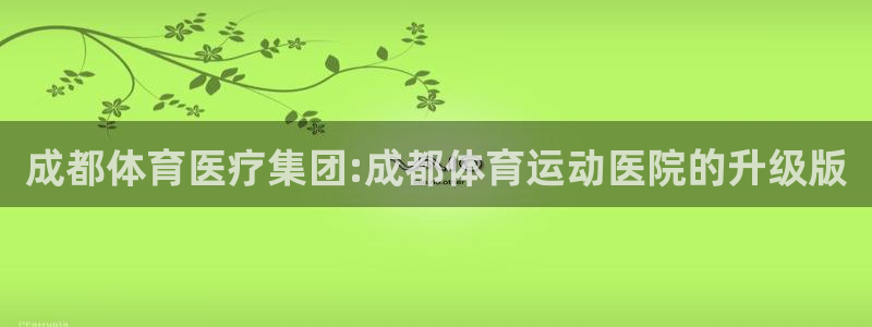 MK体育官方正版app娱乐是那个系列的台子:成都体育医疗集团